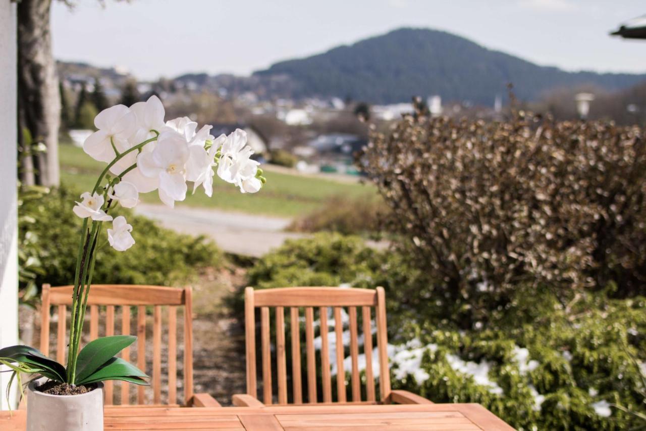 Xenos Apartment Willingen  Ngoại thất bức ảnh